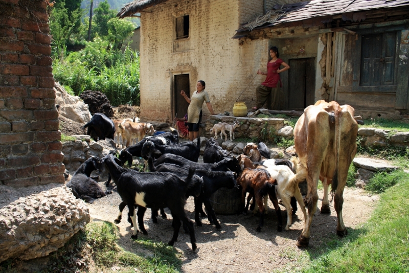 городской и сельский пейзаж, фотографии