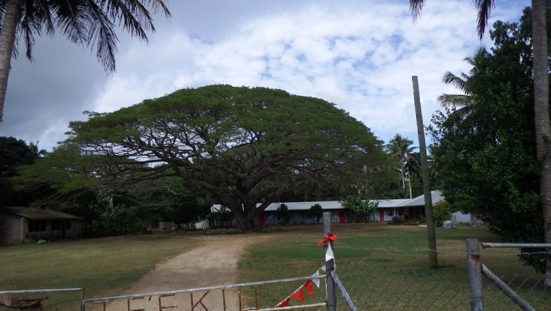 Он-лайн отчет Фиджи-Тонга