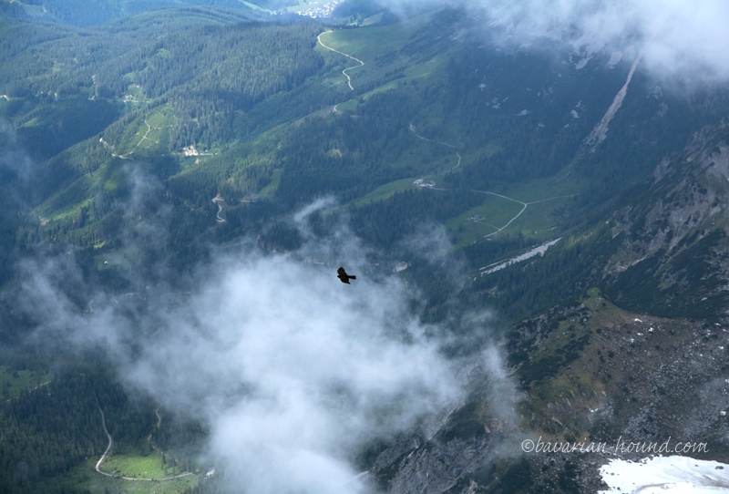 Обсуждение и критика Москва-Чехия-Австрия