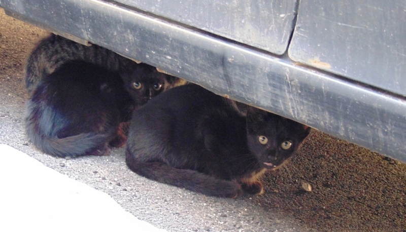 Мой "кусочек" Сицилии! июль 2014.