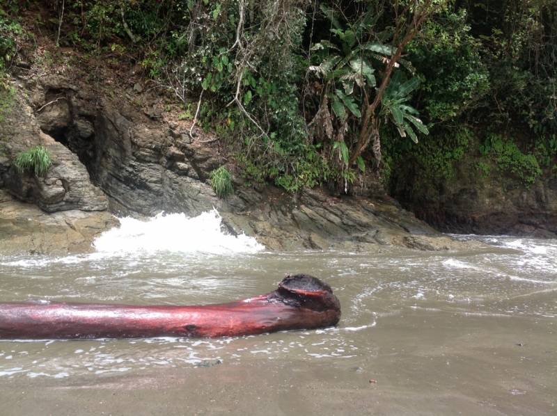 Lost in Costa Rica. Пляжи, водопады, дороги. Ojochal, Uvita etc