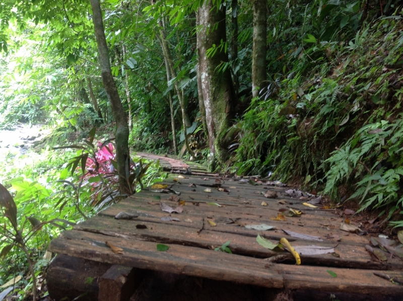 Lost in Costa Rica. Пляжи, водопады, дороги. Ojochal, Uvita etc