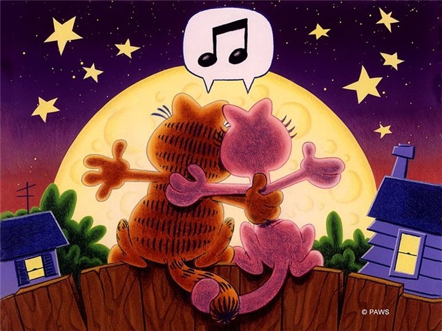 Поговорим о кошках 29