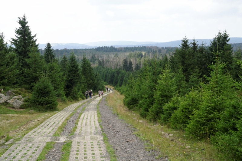 4 дня в сказочном лесу, или что можно успеть за это время в Harz