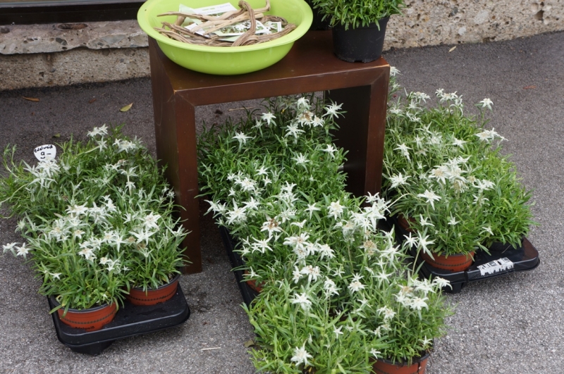 Берхтесгаден или Grüß Gott, Bayern!