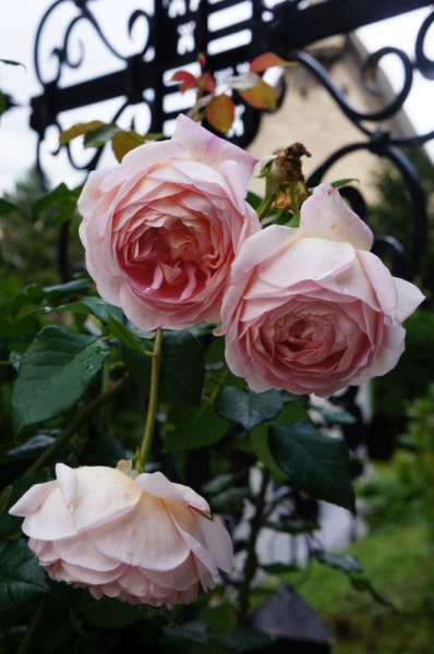 Берхтесгаден или Grüß Gott, Bayern!