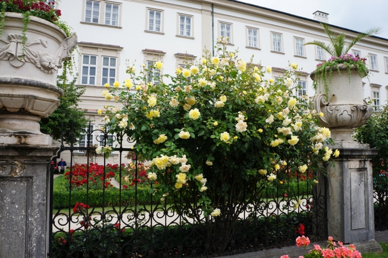 Берхтесгаден или Grüß Gott, Bayern!