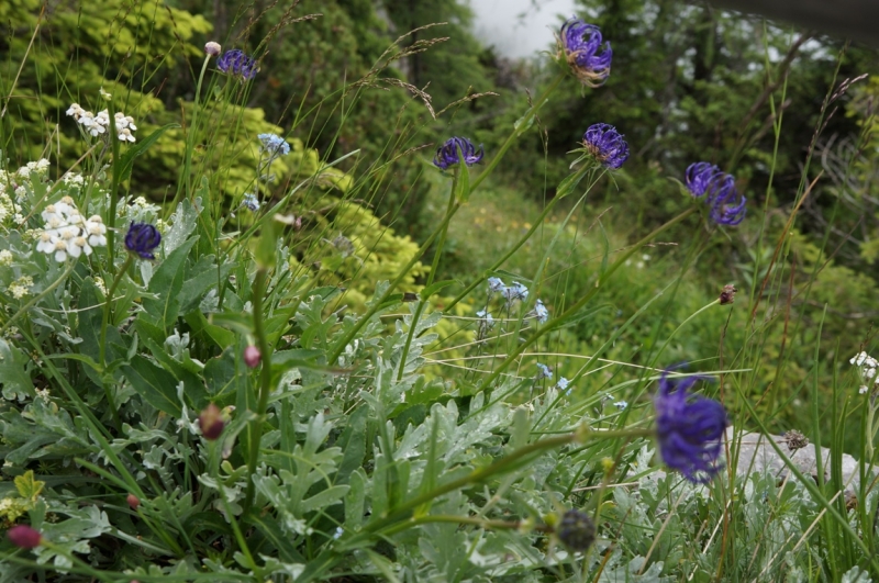 Берхтесгаден или Grüß Gott, Bayern!