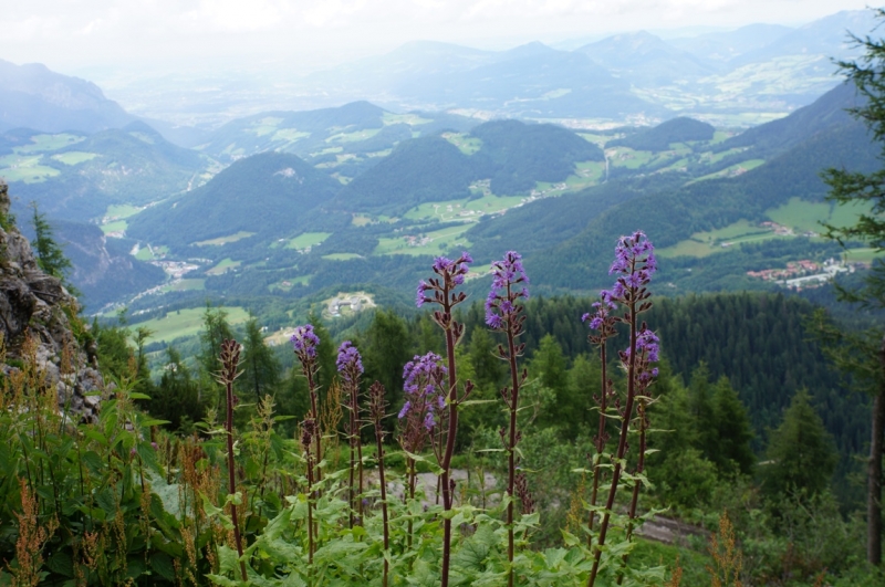 Берхтесгаден или Grüß Gott, Bayern!
