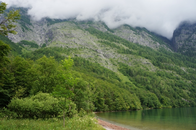 Кёнингзее, лето 2014