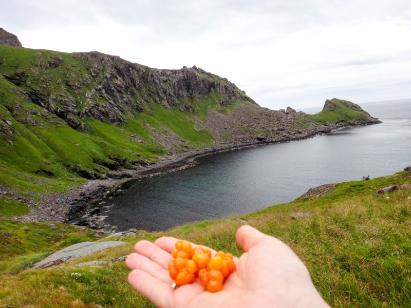 Explore islands of Nordland. Лофотены и Вестеролен. Август 2014.