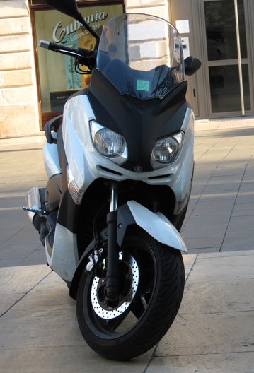 Поговорим о кошках 29