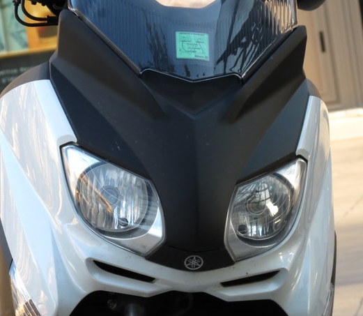 Поговорим о кошках 29