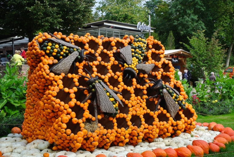 Праздник Тыквы в Людвигсбурге, Германия, сентябрь 2014