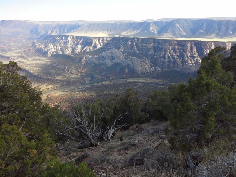 Chicago, Yellowstone, Glacier, Rushmore