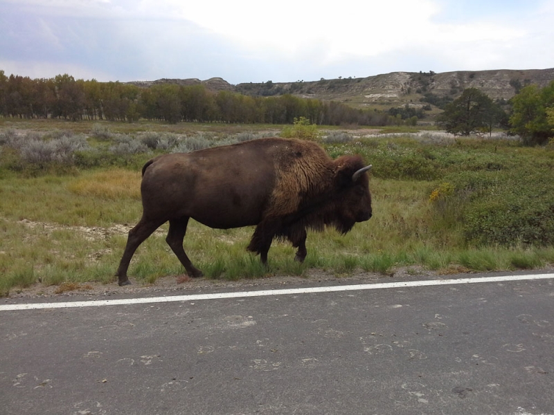 Chicago, Yellowstone, Glacier, Rushmore