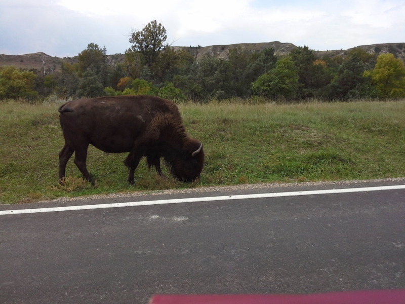 Chicago, Yellowstone, Glacier, Rushmore