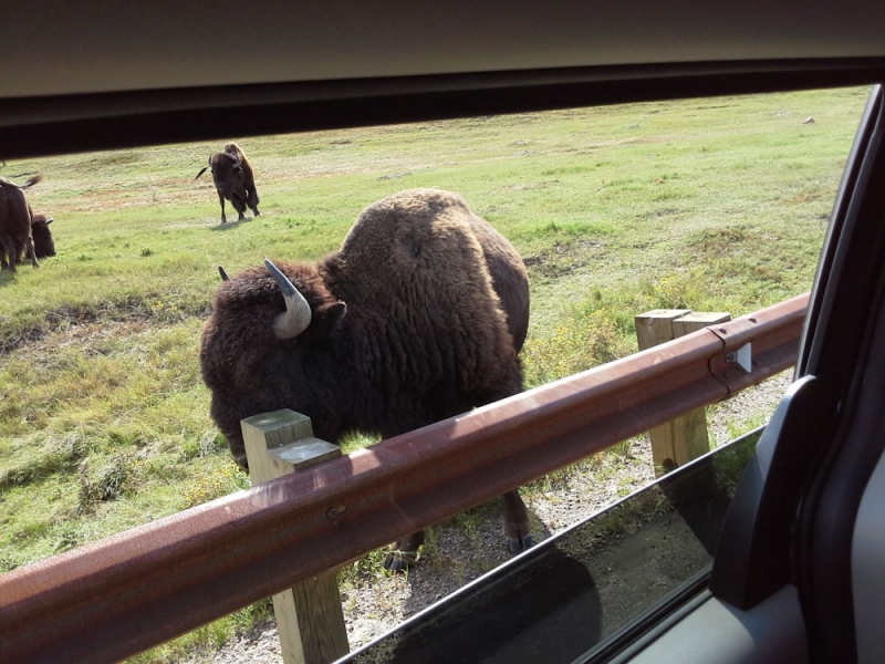 Chicago, Yellowstone, Glacier, Rushmore