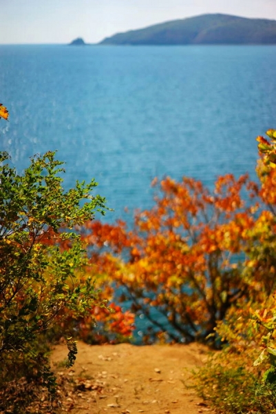Дороги, тропы: куда они нас ведут - тут фотоответ