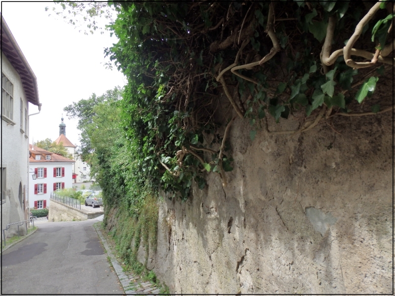 Русалка Боденского озера (Линдау, Меерсбург, Констанц, Майнау, Райхенау, далее - везде)