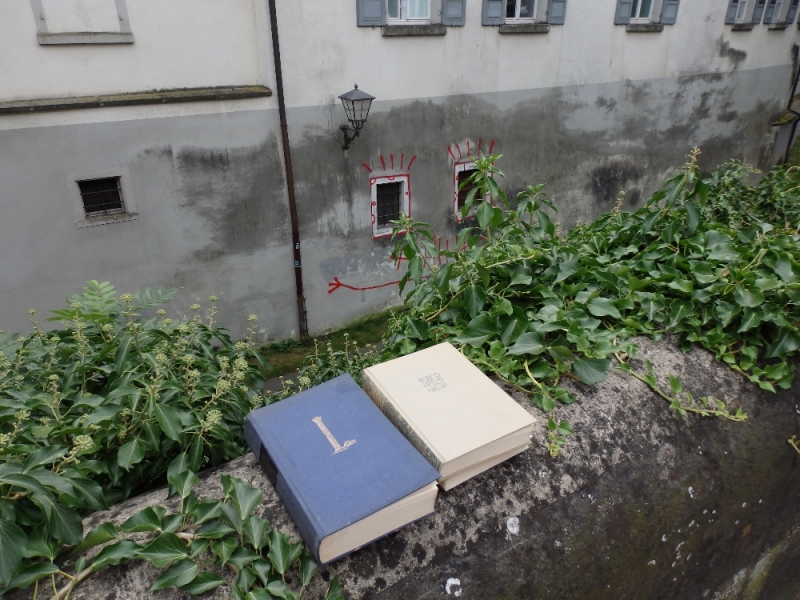 Русалка Боденского озера (Линдау, Меерсбург, Констанц, Майнау, Райхенау, далее - везде)