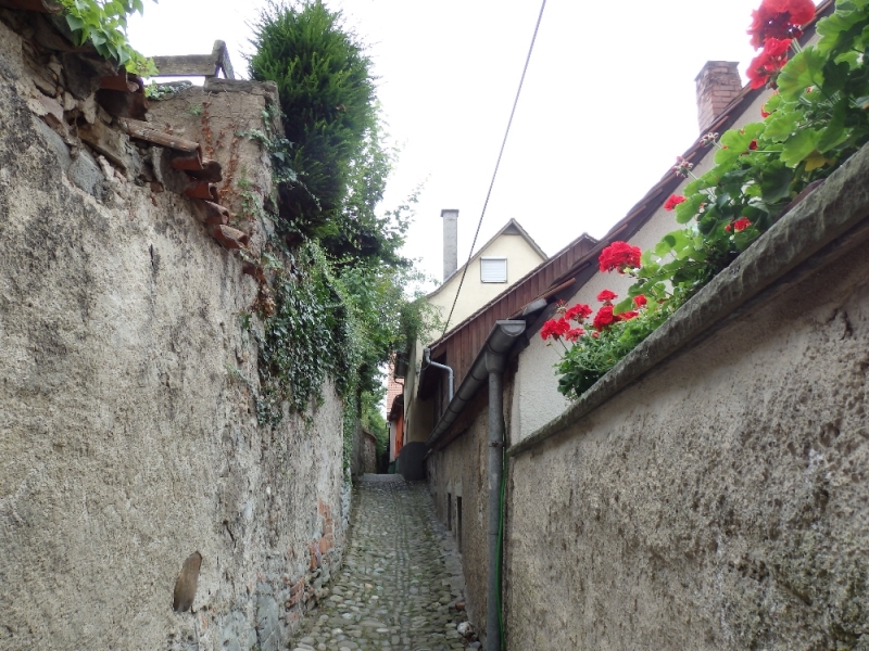 Русалка Боденского озера (Линдау, Меерсбург, Констанц, Майнау, Райхенау, далее - везде)