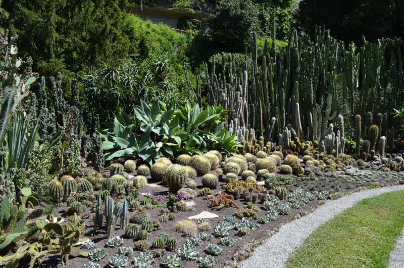 Русалка Боденского озера (Линдау, Меерсбург, Констанц, Майнау, Райхенау, далее - везде)