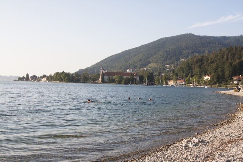 Альпийские коровки и озеро Тегернзее Tegernsee.