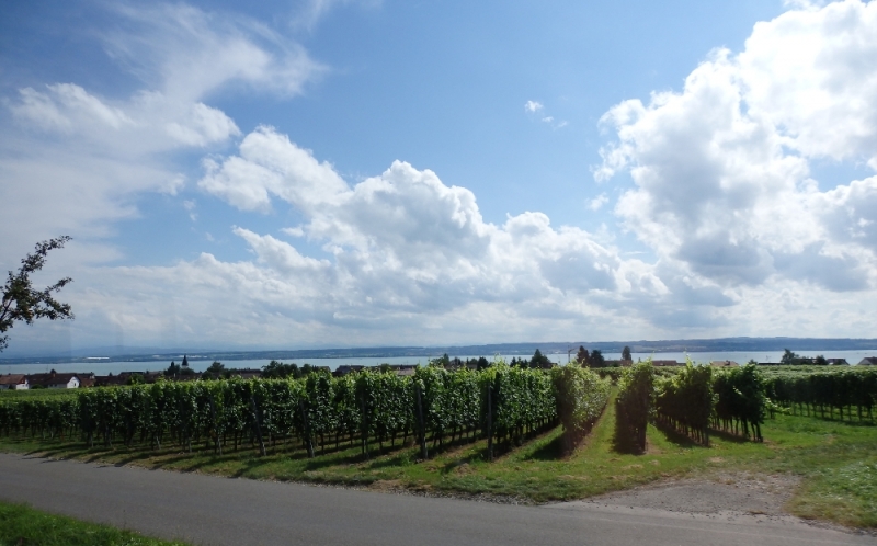 Русалка Боденского озера (Линдау, Меерсбург, Констанц, Майнау, Райхенау, далее - везде)