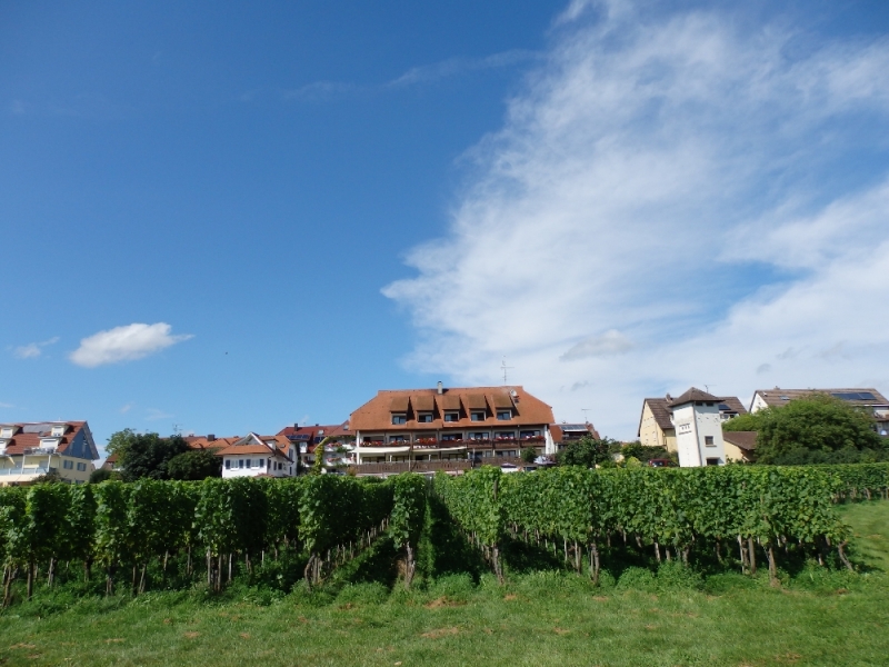 Русалка Боденского озера (Линдау, Меерсбург, Констанц, Майнау, Райхенау, далее - везде)