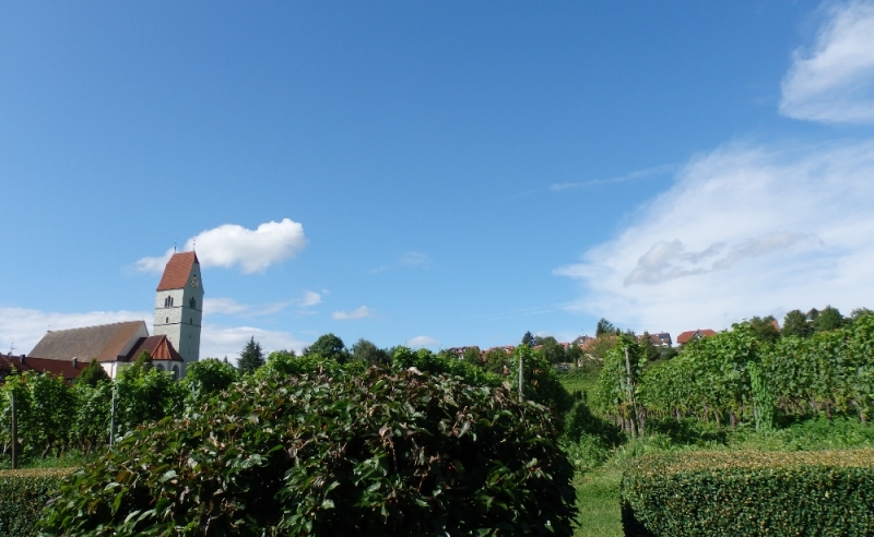 Русалка Боденского озера (Линдау, Меерсбург, Констанц, Майнау, Райхенау, далее - везде)