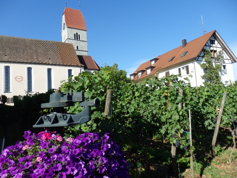 Русалка Боденского озера (Линдау, Меерсбург, Констанц, Майнау, Райхенау, далее - везде)