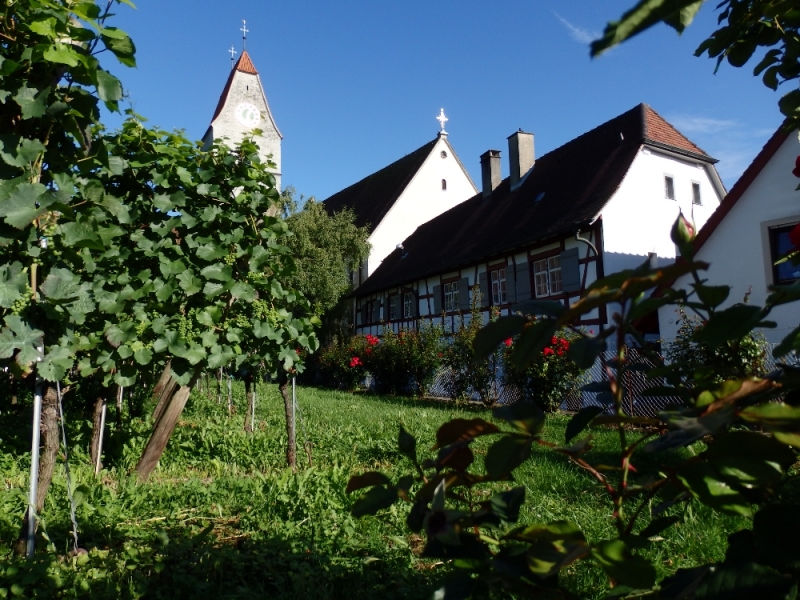 Русалка Боденского озера (Линдау, Меерсбург, Констанц, Майнау, Райхенау, далее - везде)