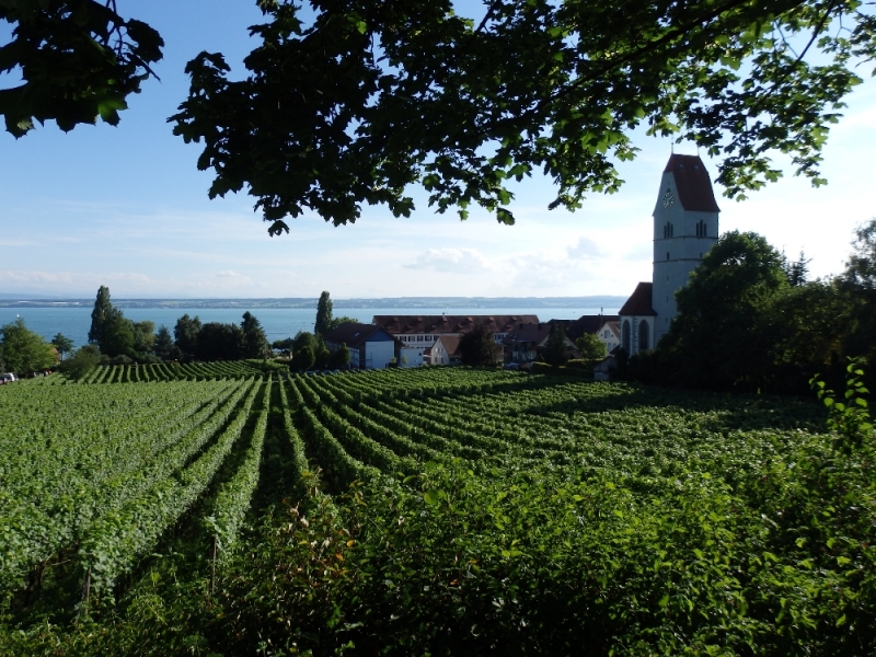 Русалка Боденского озера (Линдау, Меерсбург, Констанц, Майнау, Райхенау, далее - везде)
