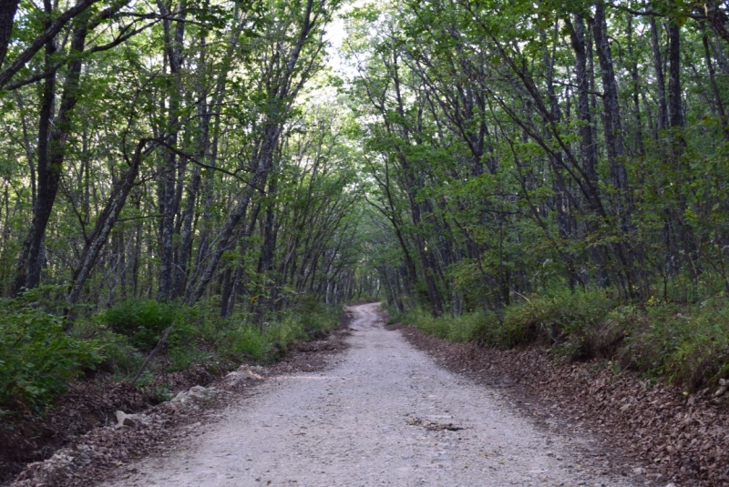 Дальний Восток