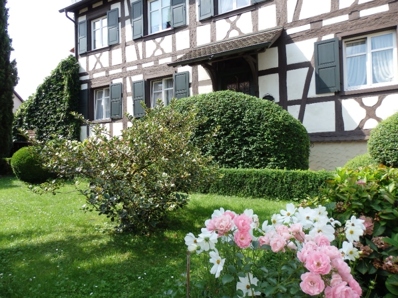 Русалка Боденского озера (Линдау, Меерсбург, Констанц, Майнау, Райхенау, далее - везде)