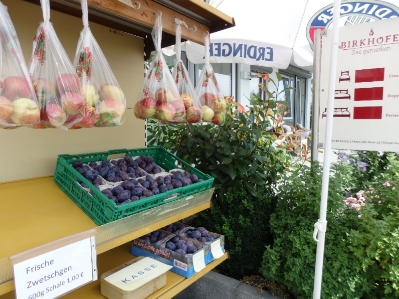 Русалка Боденского озера (Линдау, Меерсбург, Констанц, Майнау, Райхенау, далее - везде)