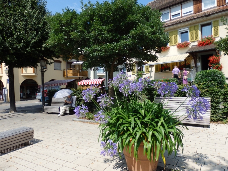 Русалка Боденского озера (Линдау, Меерсбург, Констанц, Майнау, Райхенау, далее - везде)