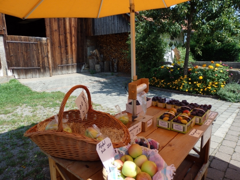 Русалка Боденского озера (Линдау, Меерсбург, Констанц, Майнау, Райхенау, далее - везде)