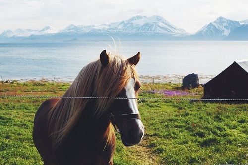 Автопутешествие по Норвегии длиною в месяц: рассказ из первых уст для новичков