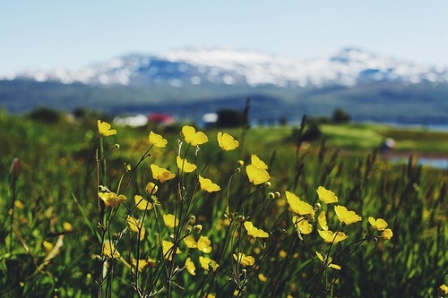 Автопутешествие по Норвегии длиною в месяц: рассказ из первых уст для новичков