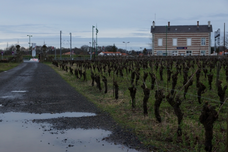 Бретань без авто (январь 2014)