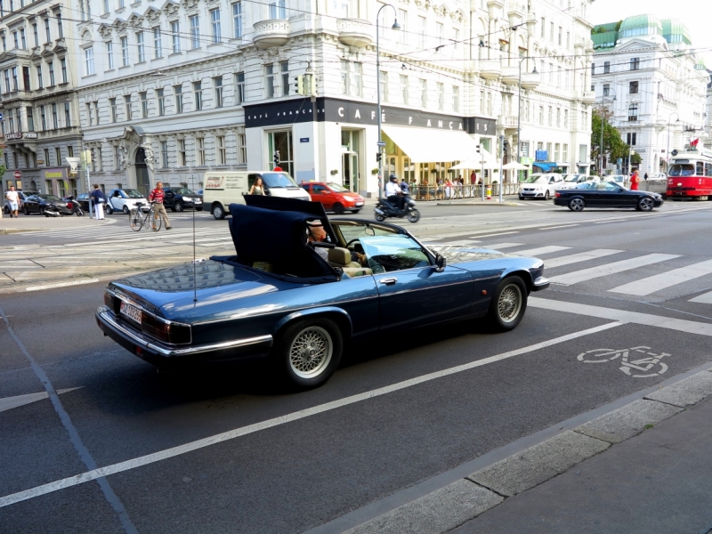 Мечты сбываются или Вена в августе 2014 г.