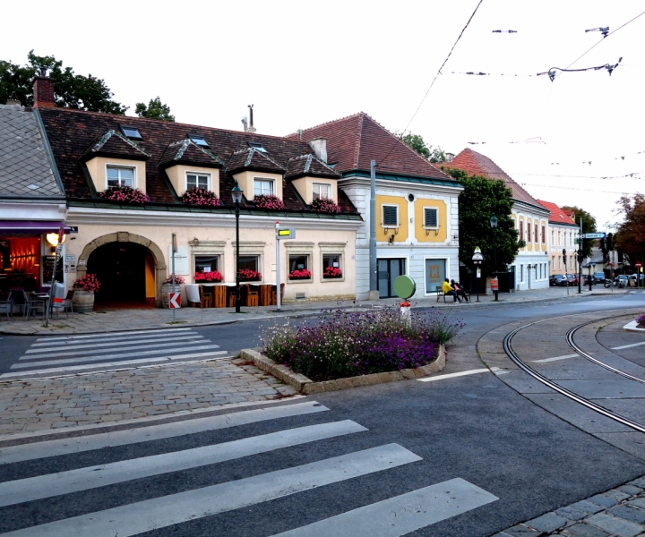 Мечты сбываются или Вена в августе 2014 г.