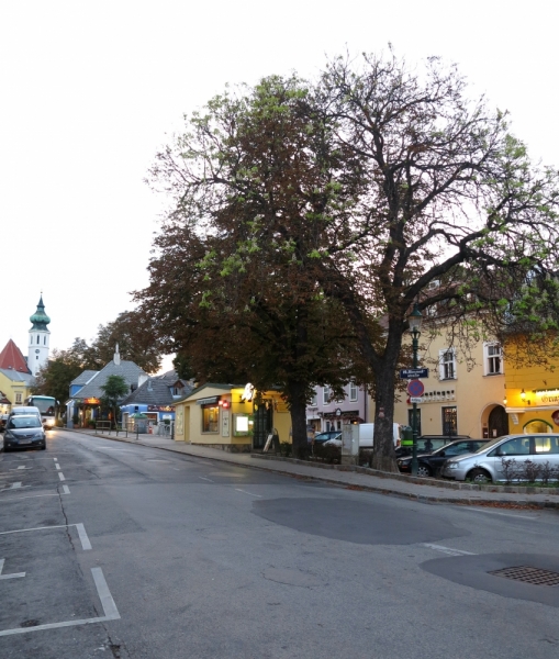 Мечты сбываются или Вена в августе 2014 г.