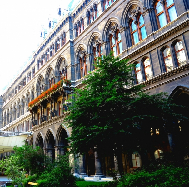 Мечты сбываются или Вена в августе 2014 г.