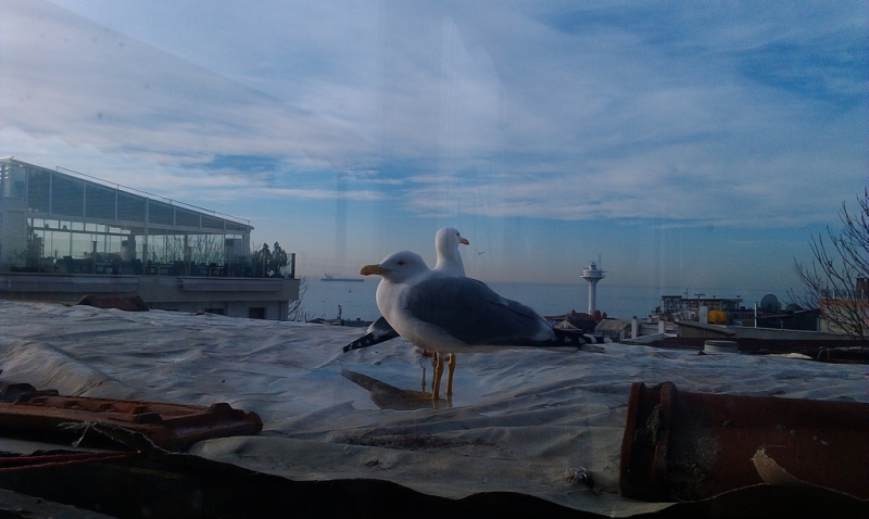 Стамбул на день св. Валентина 2014