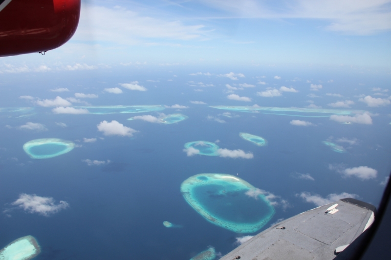 Medhupparu в сентябре 2014