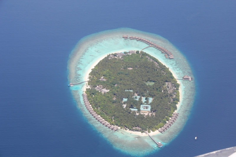 Medhupparu в сентябре 2014