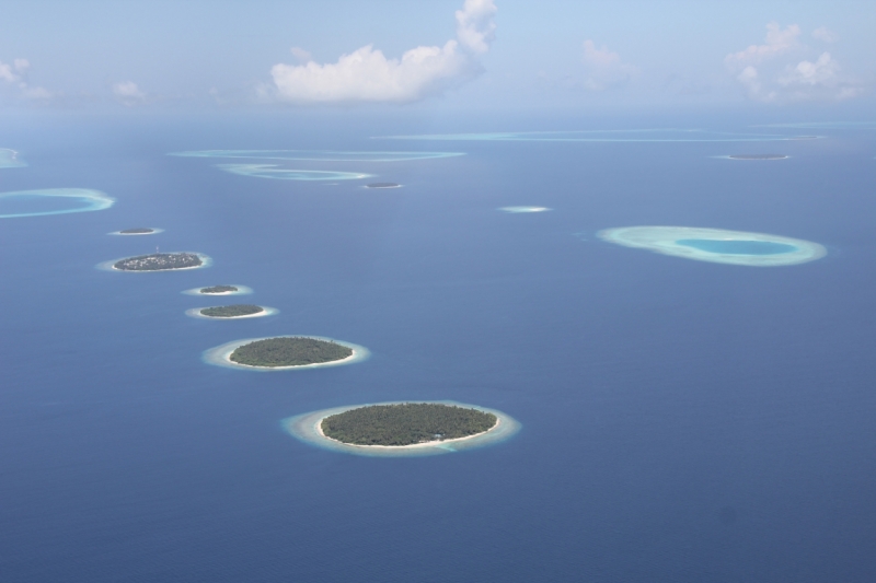 Medhupparu в сентябре 2014